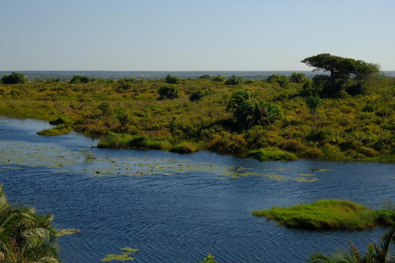 African Thistle Saint Lucia Estuary Exterior foto